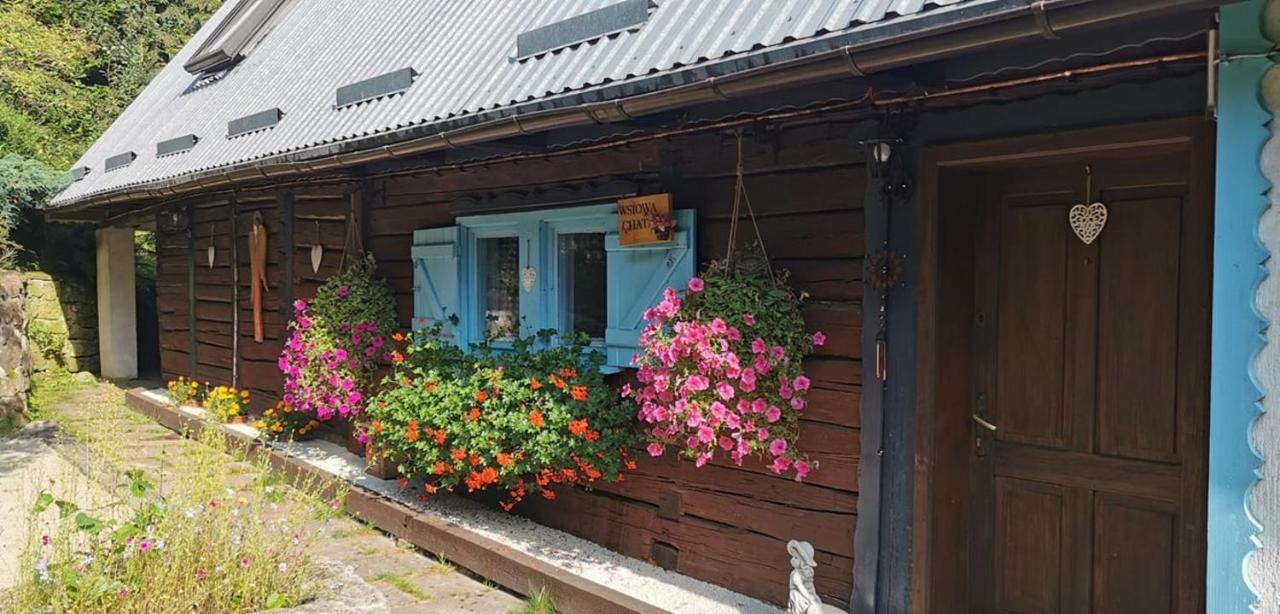 Wsiowa Chata Scinawka Gorna Kültér fotó